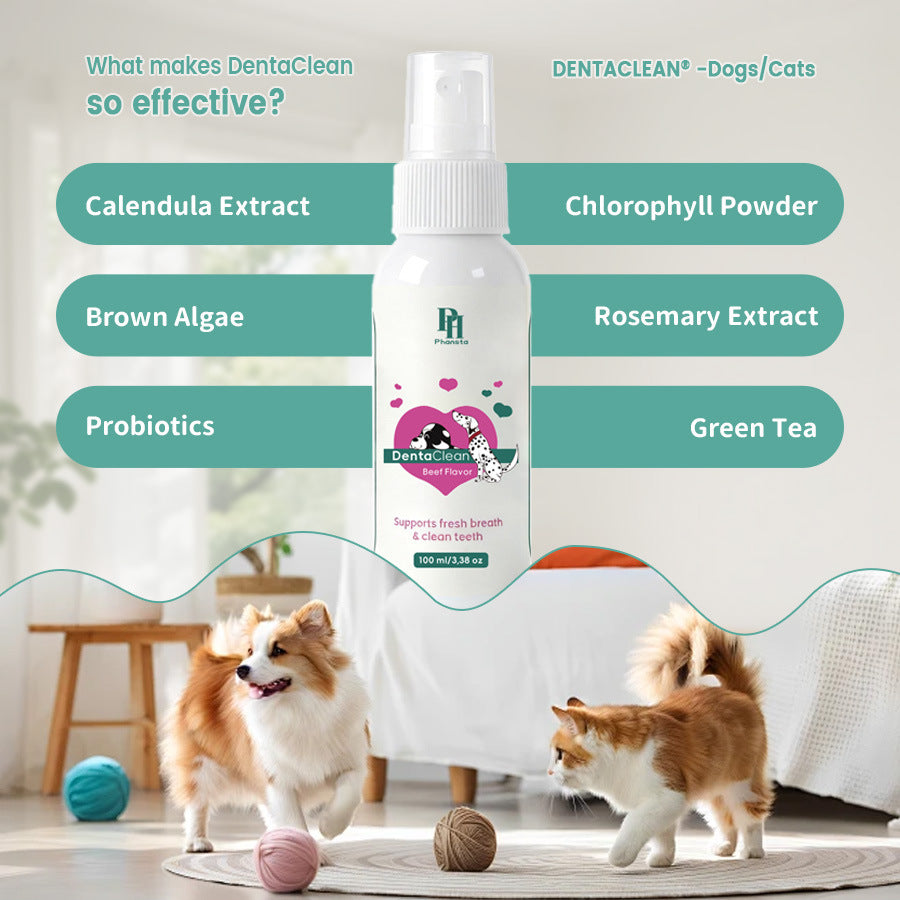 Pet Oral Care agent